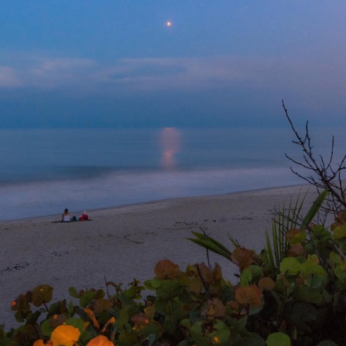 kabhi-kabhi:Mars over the Atlantic photo by John Kraus