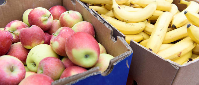 Vegan datant Tumblr mobile datant aucun enregistrement