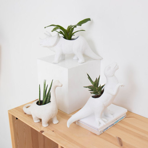 figdays:“Dinosaur” Planters // Firebox