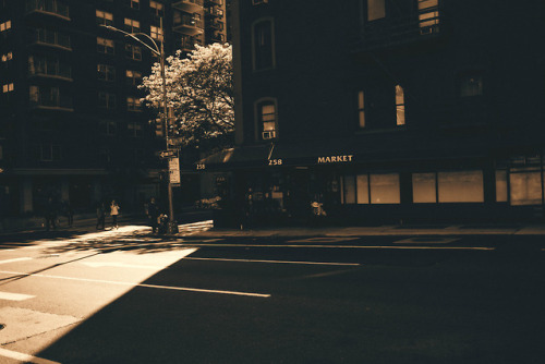 bagnostian:“a kiss is still a kiss”midtown, nyc.(Fuji X-T2)