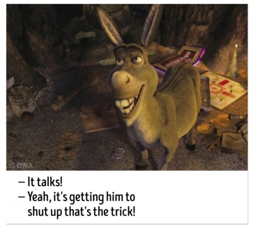 every time donkey says shrek