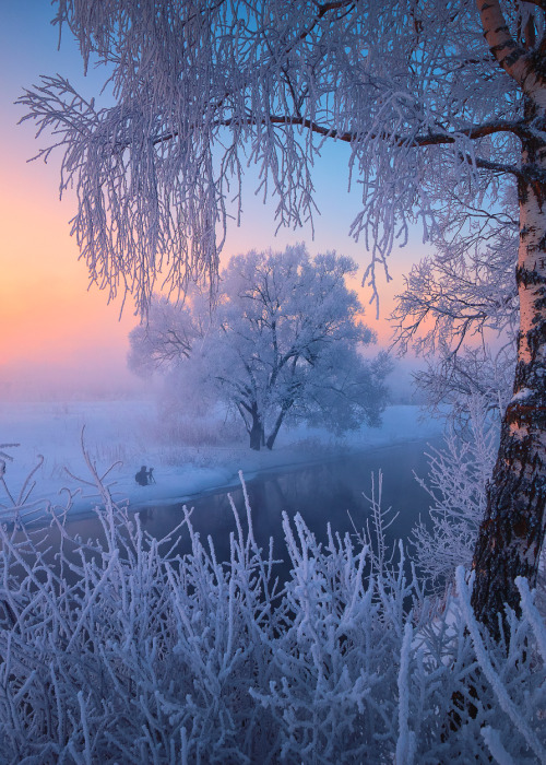 coiour-my-world:“Winter morning” || Mikhail Dubrovinsky