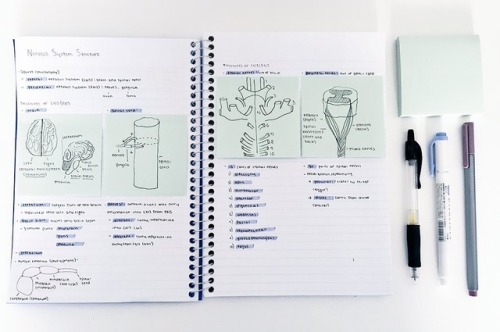 studyneurons:6.9 some MCAT notes on the basics of the...