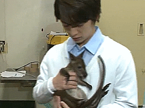 tumblr_o791f0pZt71s0hiy2o2_400.gif