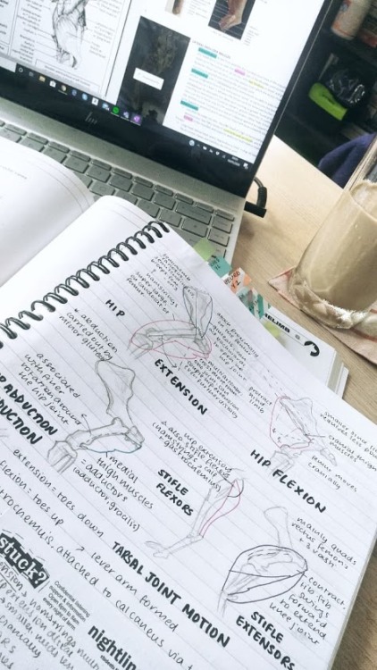 studywithyashu