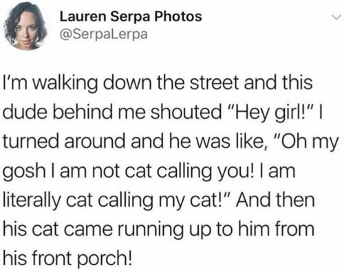 were-all-queer-here:The only time cat calling is acceptable