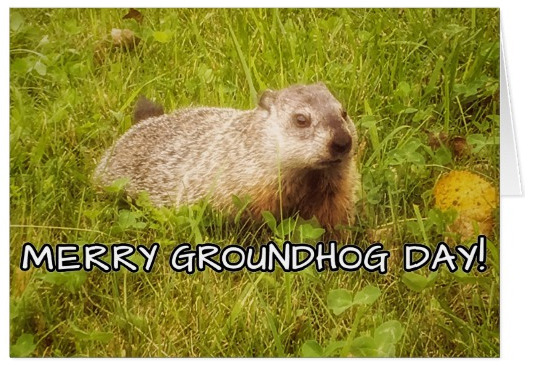 Merry Groundhog Day greeting card