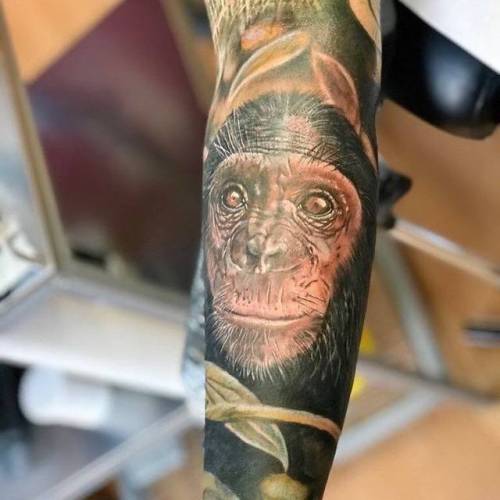 By Marcos Caballero, done at Marlin Art Tattoo - Smoke ink,... big;chimpanzee;animal;facebook;realistic;twitter;primate;portrait;inner forearm;marcoscaballero