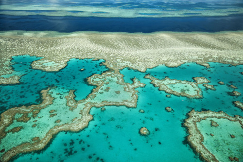 drxgonfly:Aerial Great Barrier Reef Coral and River (by Larry)