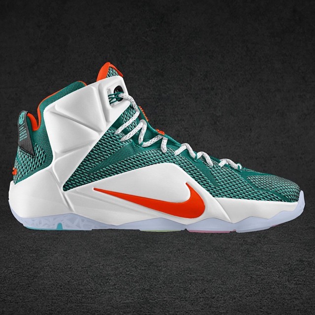 lebron 12 miami dolphins