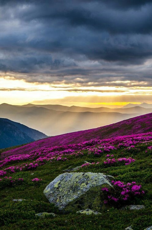 landscape-lunacy:Carpathian Mountains, Romania - by Radu...