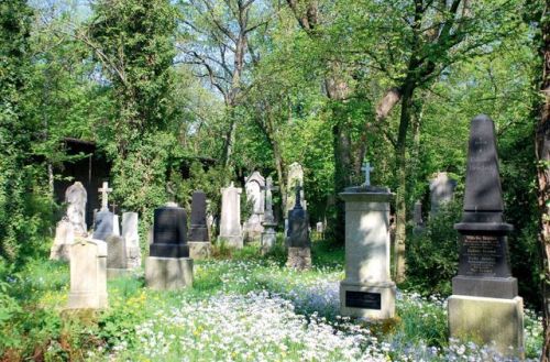 lacrimis:Cemetery Munich, Bavaria - Germany