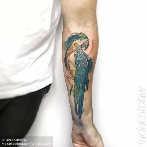 By Tania Catclaw, done at Big Boys Tattoo, Lisboa.... sketch work;big;animal;parrot;bird;facebook;twitter;inner forearm;taniacatclaw