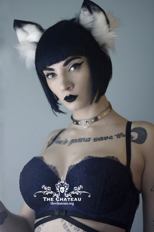 catgirlmanor:Eira Maden, our newest precious level kitten <3