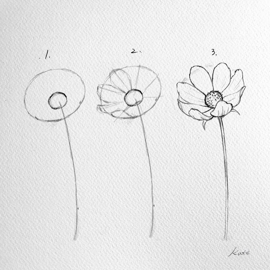 The earthbound guy — drawingden How to draw cosmos flowers...