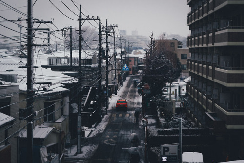 takashiyasui:Snow day in Tokyo