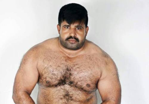 indianbears:Probably the only dedicated INDIAN BEARS blog in...