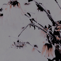 ASHTON WALKER ○ L I E N S Tumblr_piv8xzsvwh1vwn1bfo5_250