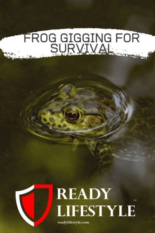 Just Pinned to DIY Survival Frog gigging is the name of the way