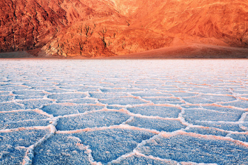 nevver:The Forbidden Zone, Lukas Furlan