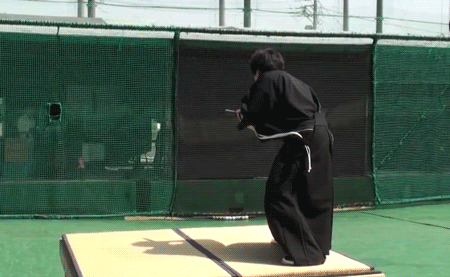 fencehopping:
â€œSamurai nails a 100mph fastball.
â€