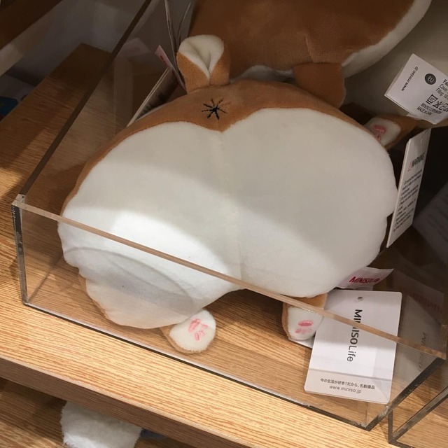 miniso corgi plush