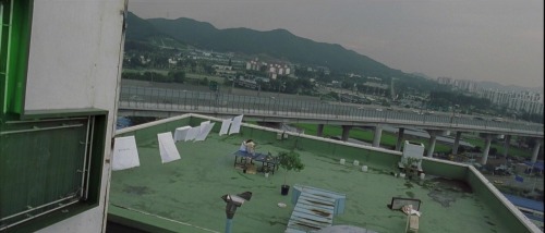 pittedcherries:pink and green in Sympathy For Mr. Vengeance...