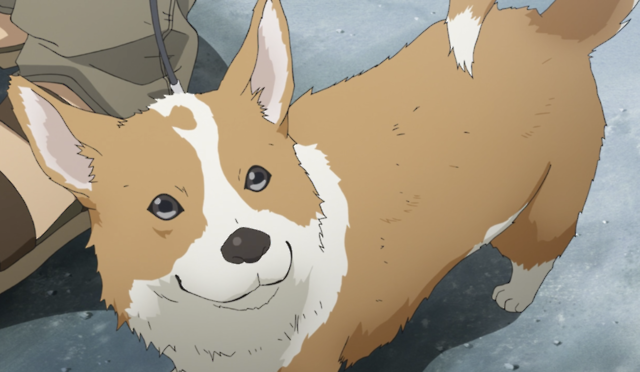 Today’s anime dog of the day is: This corgi from...