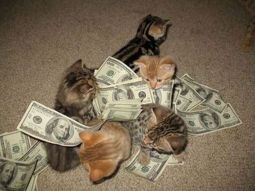 gifsboom:Cats with money.Crabs with cigarettes