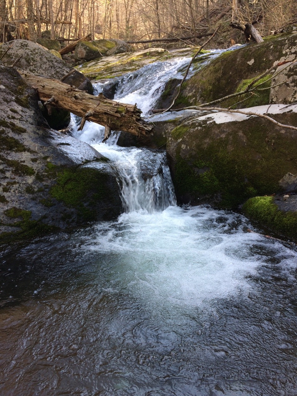 Thcolleen — Rose River Falls, Shenandoah National Park...