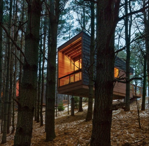 stilrenstudio:Cedar-clad cabins on a forested hill in...