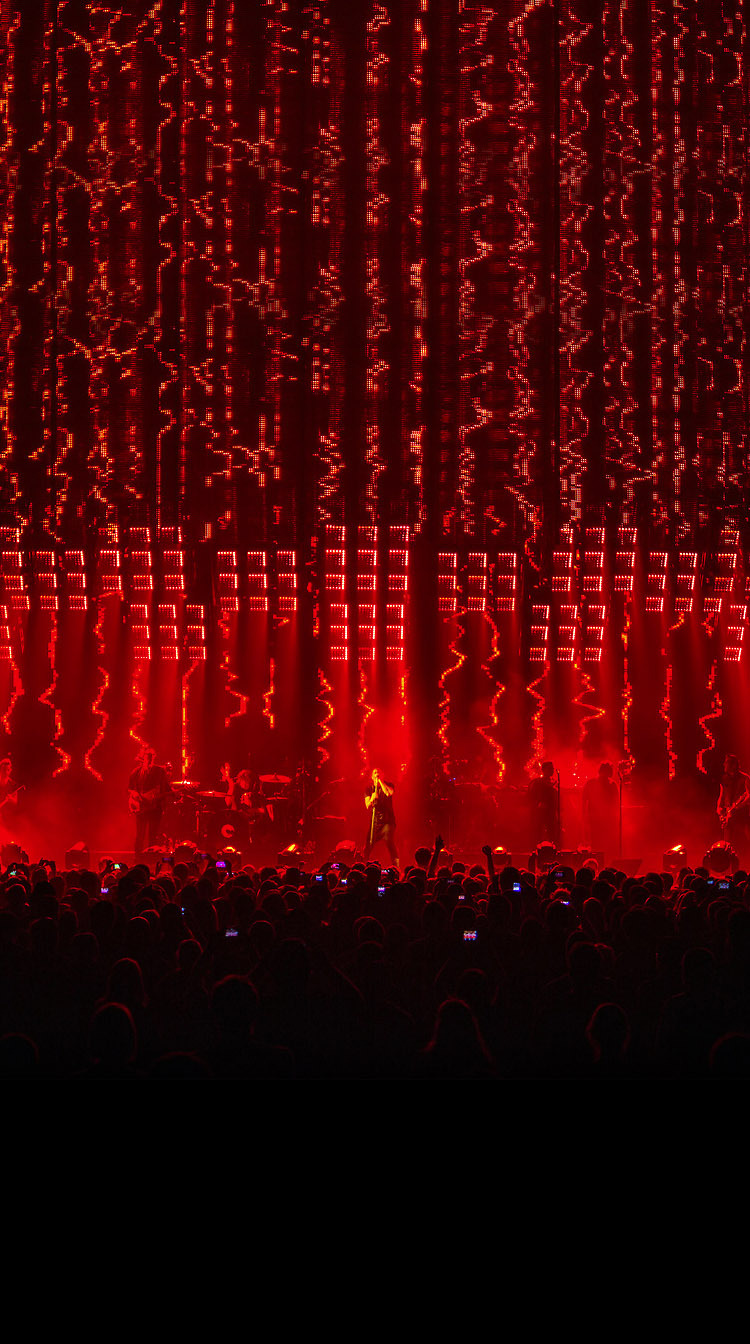 Nin Wallpaper Nin Wallpaper