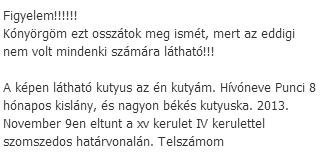 érett női orgazmus videók