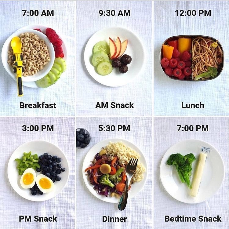 Health Food 24h — Do you have a meal and snack schedule? Comment...