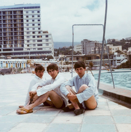 demonzebr:Photographs of George Harrison, Paul McCartney and...