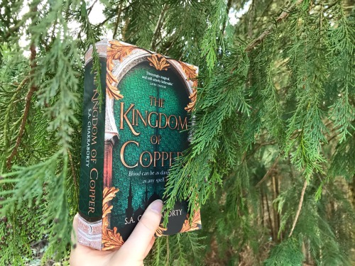 The Kingdom of Copper, held in a tree