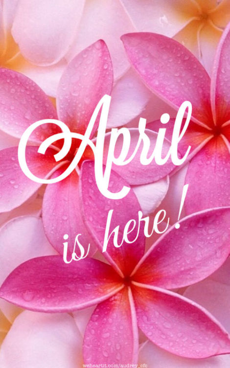 welcome april on Tumblr