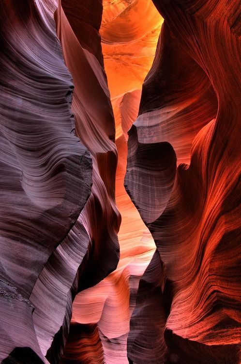 brookbooh:Explore Arizona