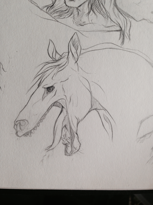 kimblewick:A couple of capaill uisce (kelpie) sketches from a...