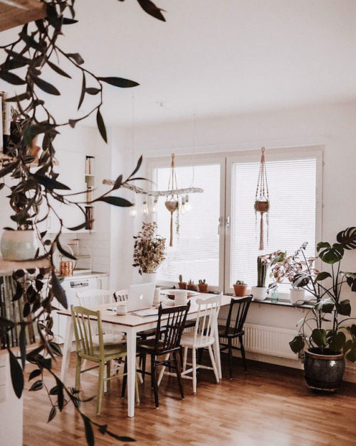 Cozy boho Stockholm home of Fanny ZedeniusFollow Gravity...