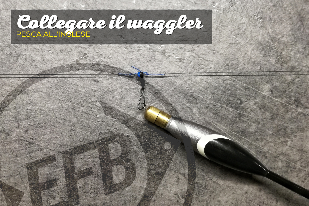 Collegare Ingles