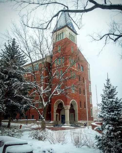 university of denver on Tumblr