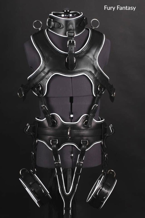 The day I get a harness Like this Is a day I will be a happy...