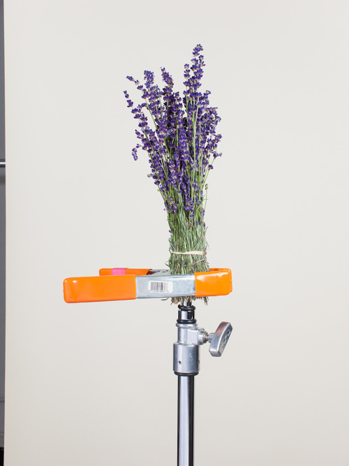 ryan duffin still life photographers on instagram Contemporary Photography lavender studio