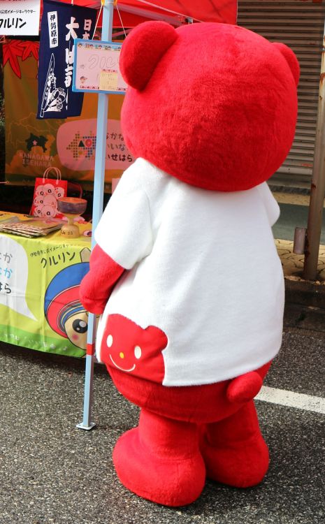 azflashjp