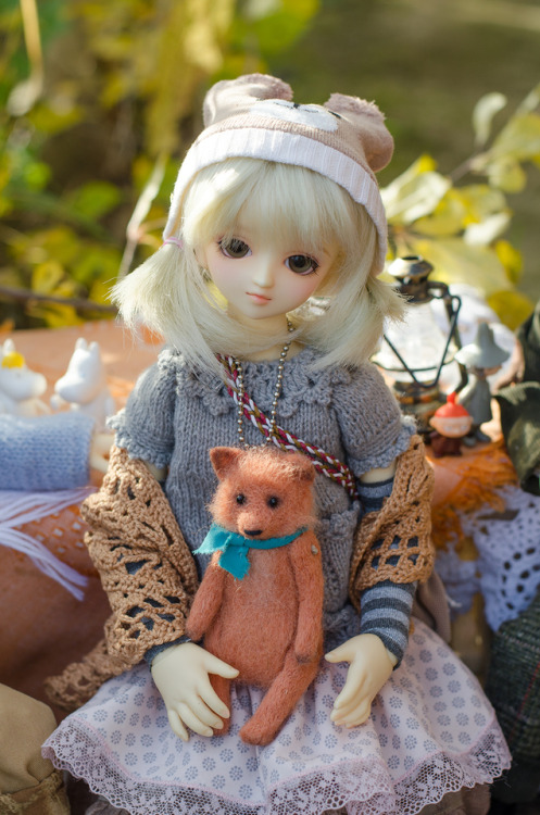 volks msd