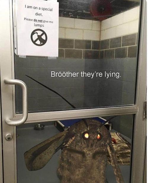 teathattast:GIVE LÄMP