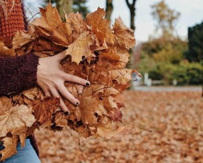 KÃ©ptalÃ¡lat a kÃ¶vetkezÅ‘re: â€žautumn leaf aestheticâ€