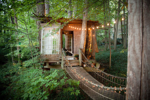 Tree House Love