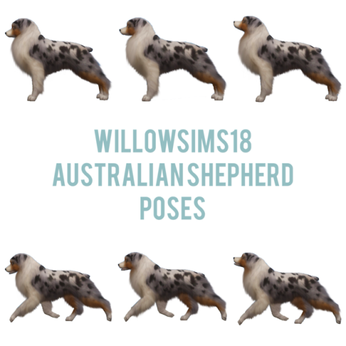 willowsims18